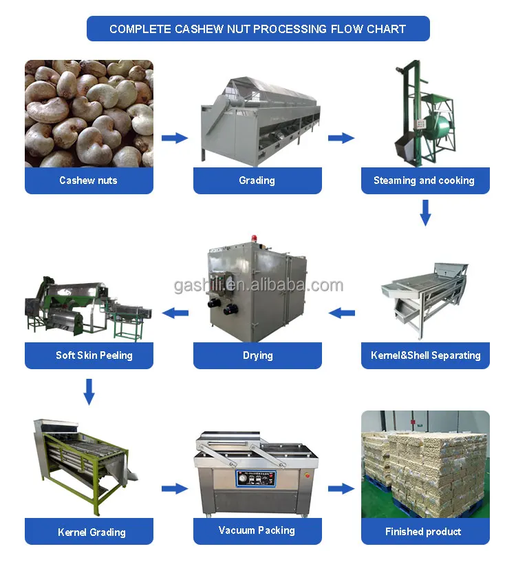 cashew nut processing flow chart