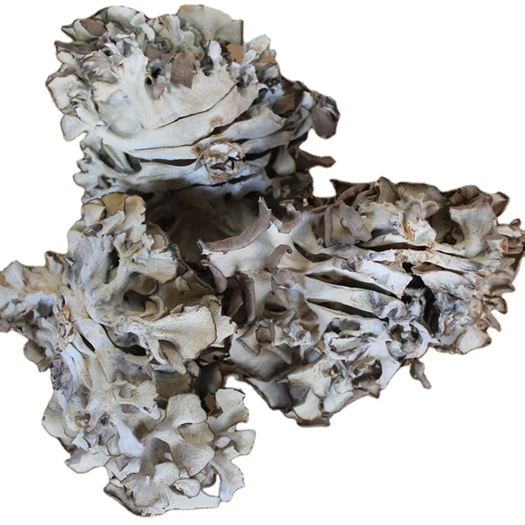 Onalar va ogillar bilan porno tomosha qiling