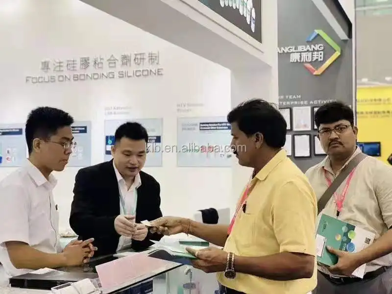 Kanglibang Silicone Rubber Curing Agent DBPH Polysiloxane Catalyst C-15 5