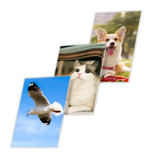 Пленка для ламинирования yidu в гуандуне, Китай, от бренда sails