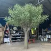 350CM