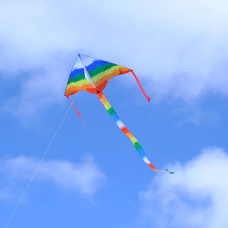 2021New style hot sale high quality cheap price Delta Rainbow flying kite