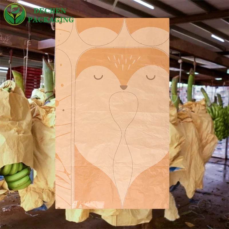 Sac de grenade en papier pochoir Fabricant et fournisseur de sacs de protection des fruits