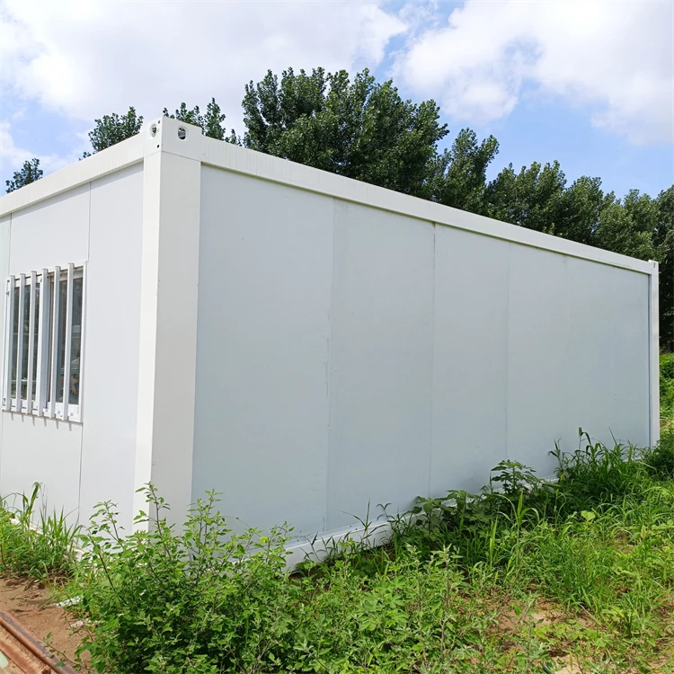 Dongchuang Unique Design Beautiful Iso Convertible All Ready Built Business Container House for Sale
