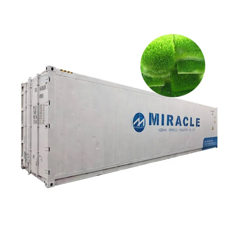 Container 1500kg Hydroponic Fodder System Germination Fodder
