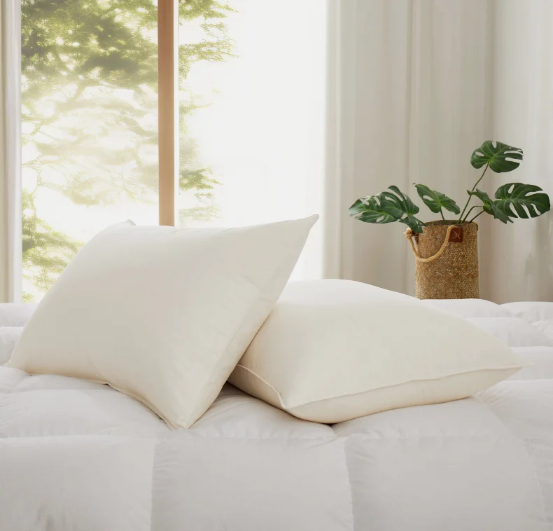 Super Soft Queen Size Medium Firm 100% Organic Cotton Cover Down Alternative Filling Pillow for Sleeping