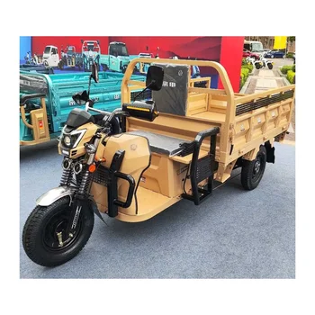 Custom Made Adult Trike 3-Wheels Motorized Cargo Tricycle / Three Wheel Transport 200 cc 3Wheels Motorcycle Electric Tricycles
