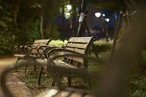 85mm lens (5)