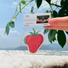 cartes de fraises