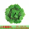 20 small grape leaves-12 pieces