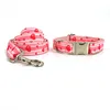 collar with leash 6