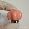 Ganchos magnéticos en forma de estrella [rosa]