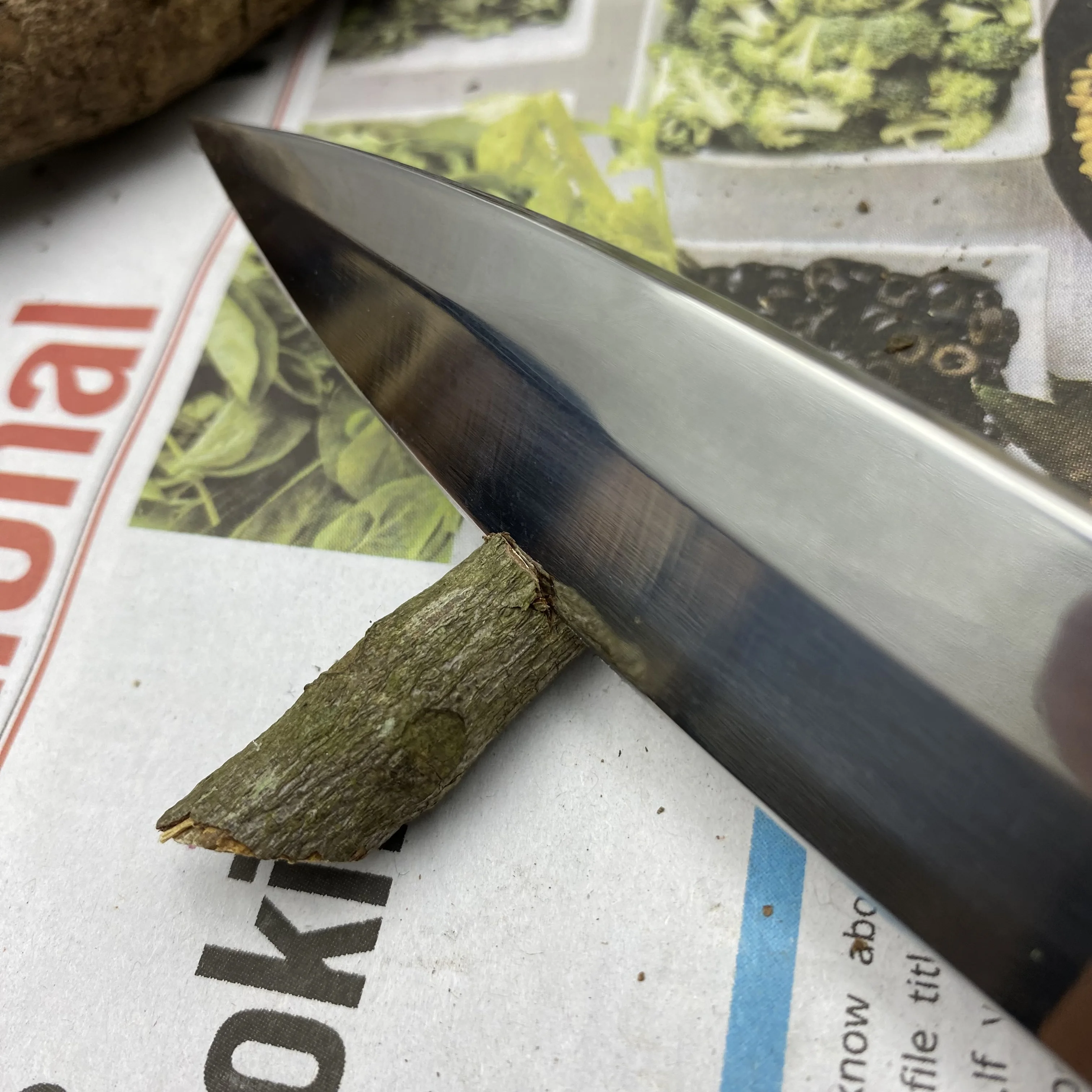 Feststehendes Outdoormesser Mit Edelstahlklinge Und Holzgriff_voghion.com