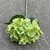 6 #72 main de colle douce petit hortensia-vert