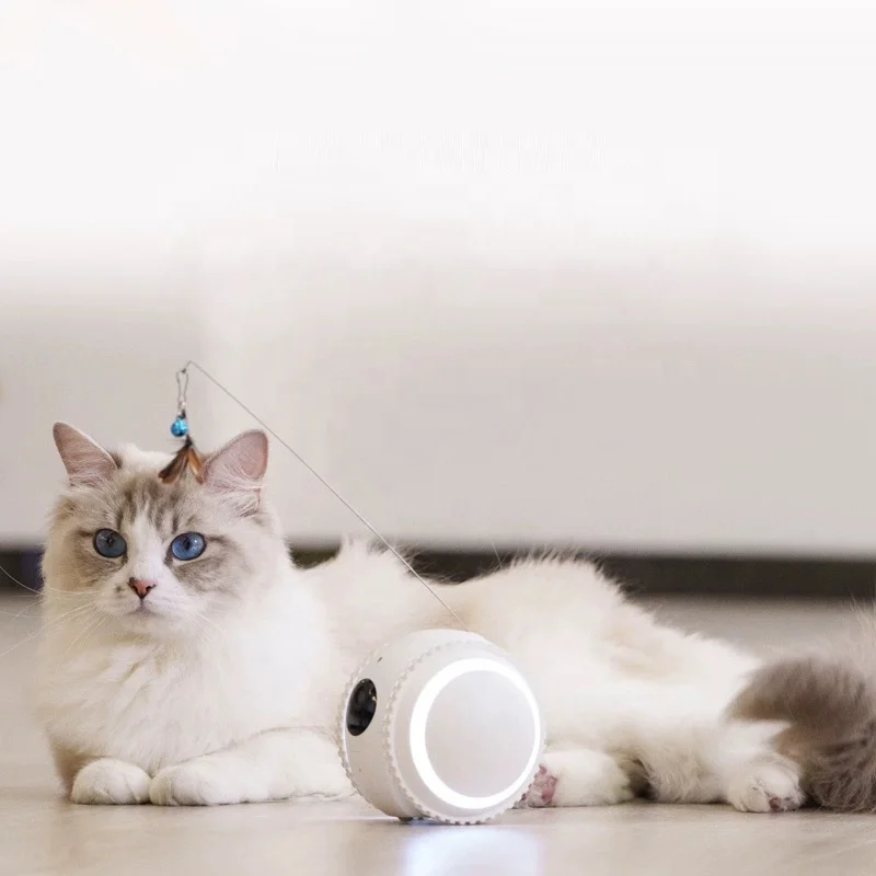 HD Video Photo Smart Companion Robot Funny Lovely Interactive Cat Dog Toy with Camera Made Silicone Rubber Intelligent Pet Toys