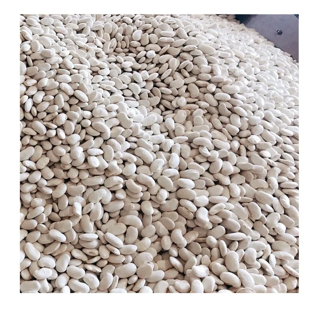 long shape white kidney beans yunnan high quality natural food