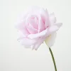 Violet rosé