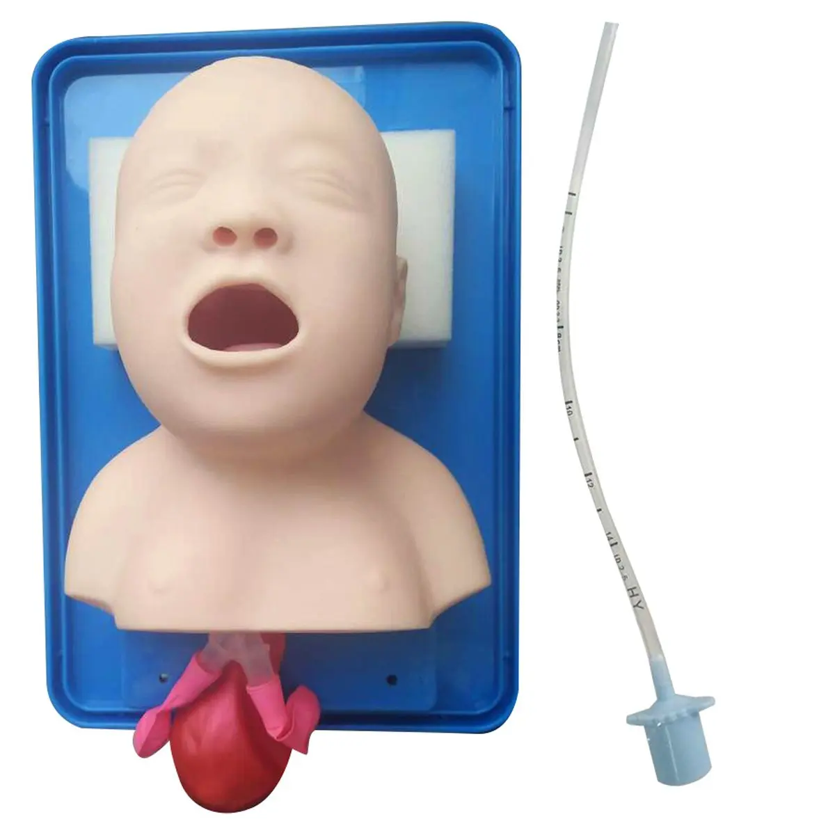 Simulator Model Advanced Infant Tracheal Intubation Lab