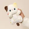 Calico cat
