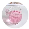 Narcisse simple tasse-papillon rose