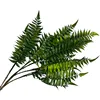 Dark-colored fern leaves.
