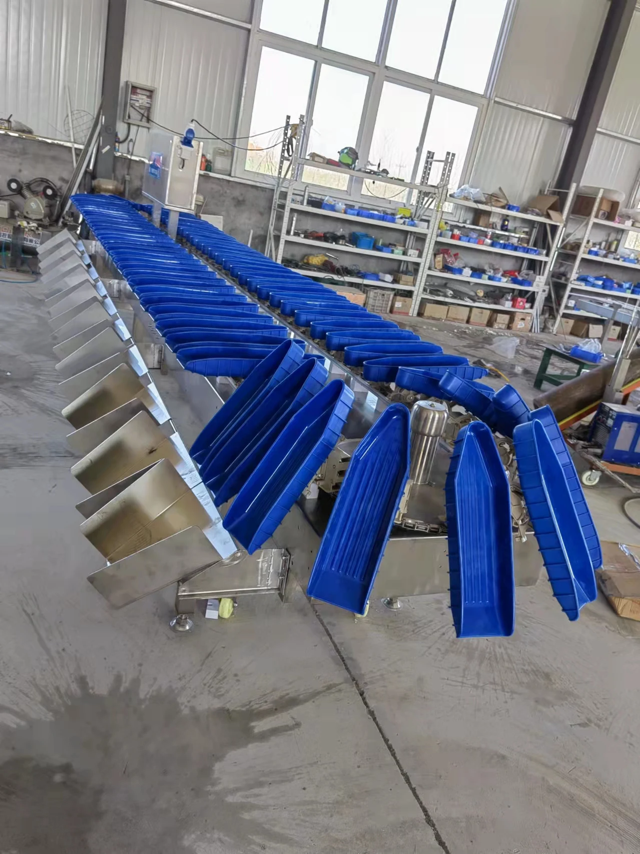 Frozen Fish Sorting Tuna Grading Machine Salmon Sorting Machine Price Tilapia Weight Sorter Machine