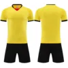 6006 giallo