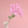 สีม่วง
