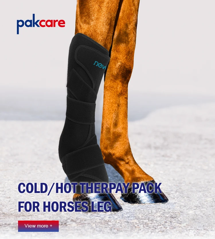 High Quality Cold Therapy Horse Tendon Ice Boots,Horse Leg Protection,Horse Boots Buy Cold
