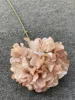 Single Stem Candy Hydrangea Light Coffee