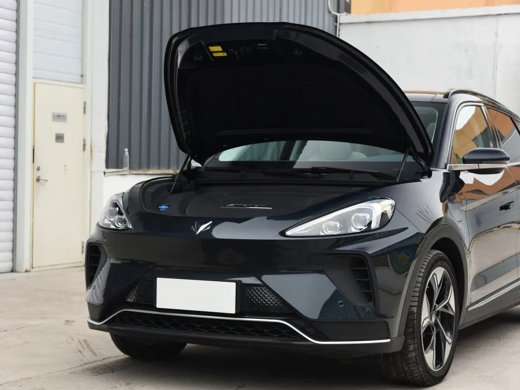 Новый роскошный шифратор с дальним радиусом действия с Европейским сертификатом, умный электрический внедорожник