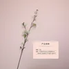 White (single style)