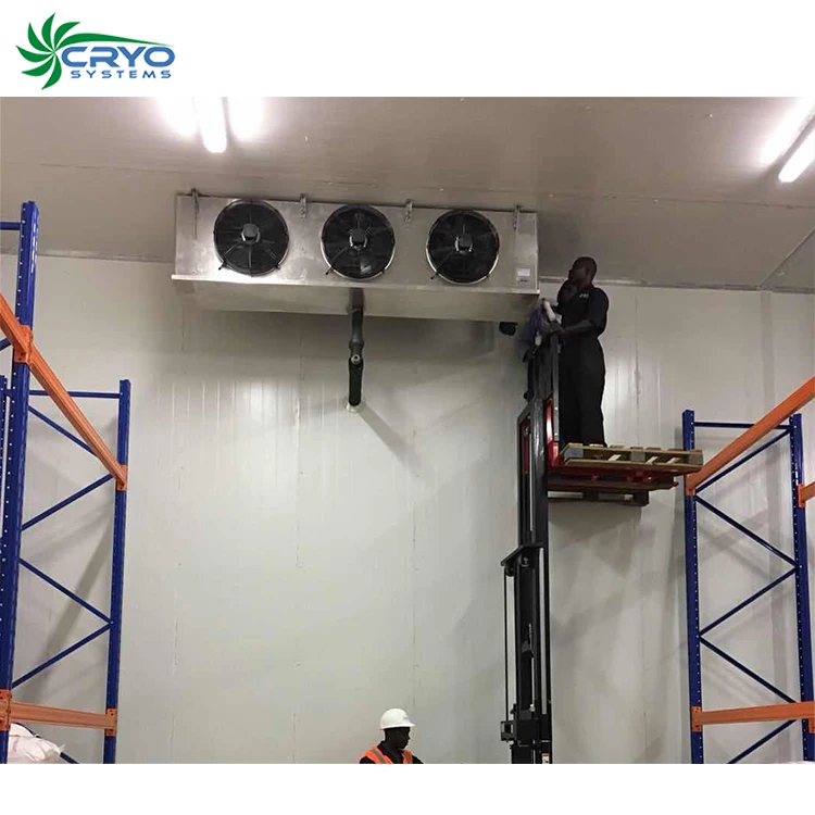 
 Цена на свежий картофель холодный склад свежий яблочный фрукт холодильная камера  