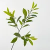 Con fiori - prosperità foglia-verde1