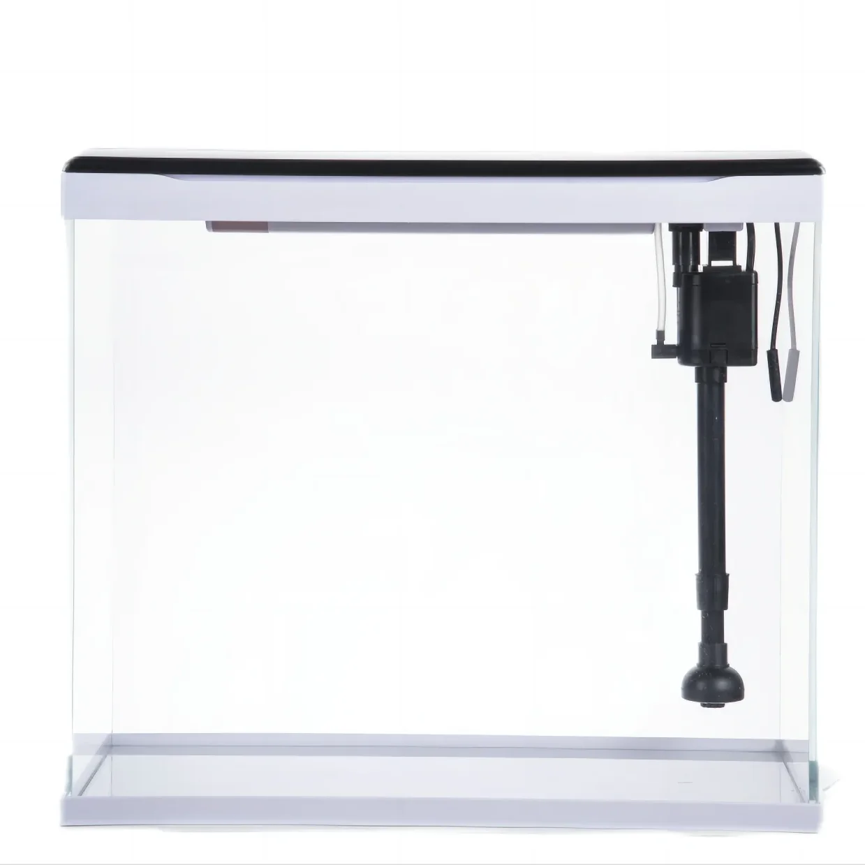 Новое поступление аквариумный