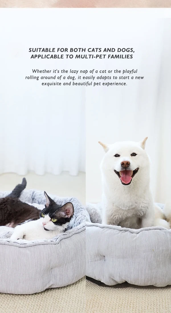 New Pet Dog House cat House Four Seasons Durable Breathable Pet House Small and Medium-sized Dog Pet Sofa Bed