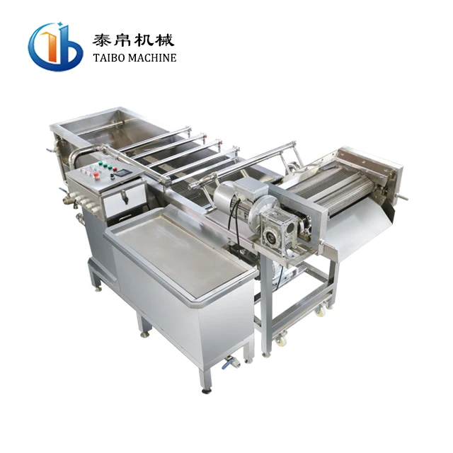 Industrial Prickly Pear Washing Machine to Clean the Thorn Fruit Vegetable Washing Machine