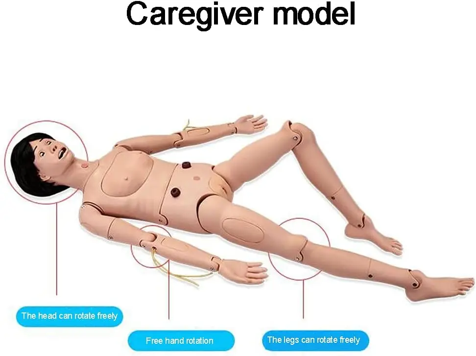 Pflegepuppe Für Medizinische Ausbildung – 170 Cm, Aus PVC, Mit Übungsmodulen Für Patientenvorsorge