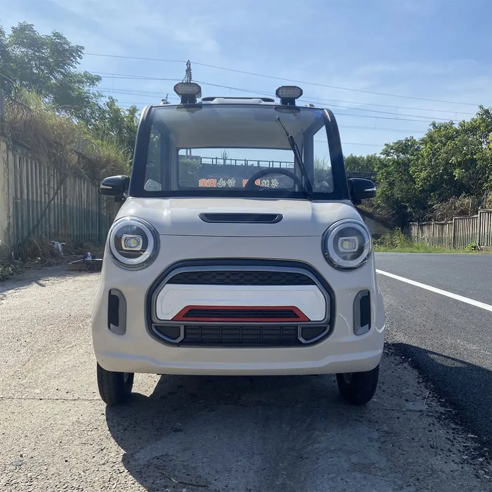 Brand New High Speed Adult Small Car for Disabled Person Electric Vehicle