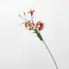 Lirio Gloriosa de tacto real granate