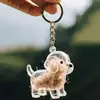 Grandes orejas cachorro modelo 1