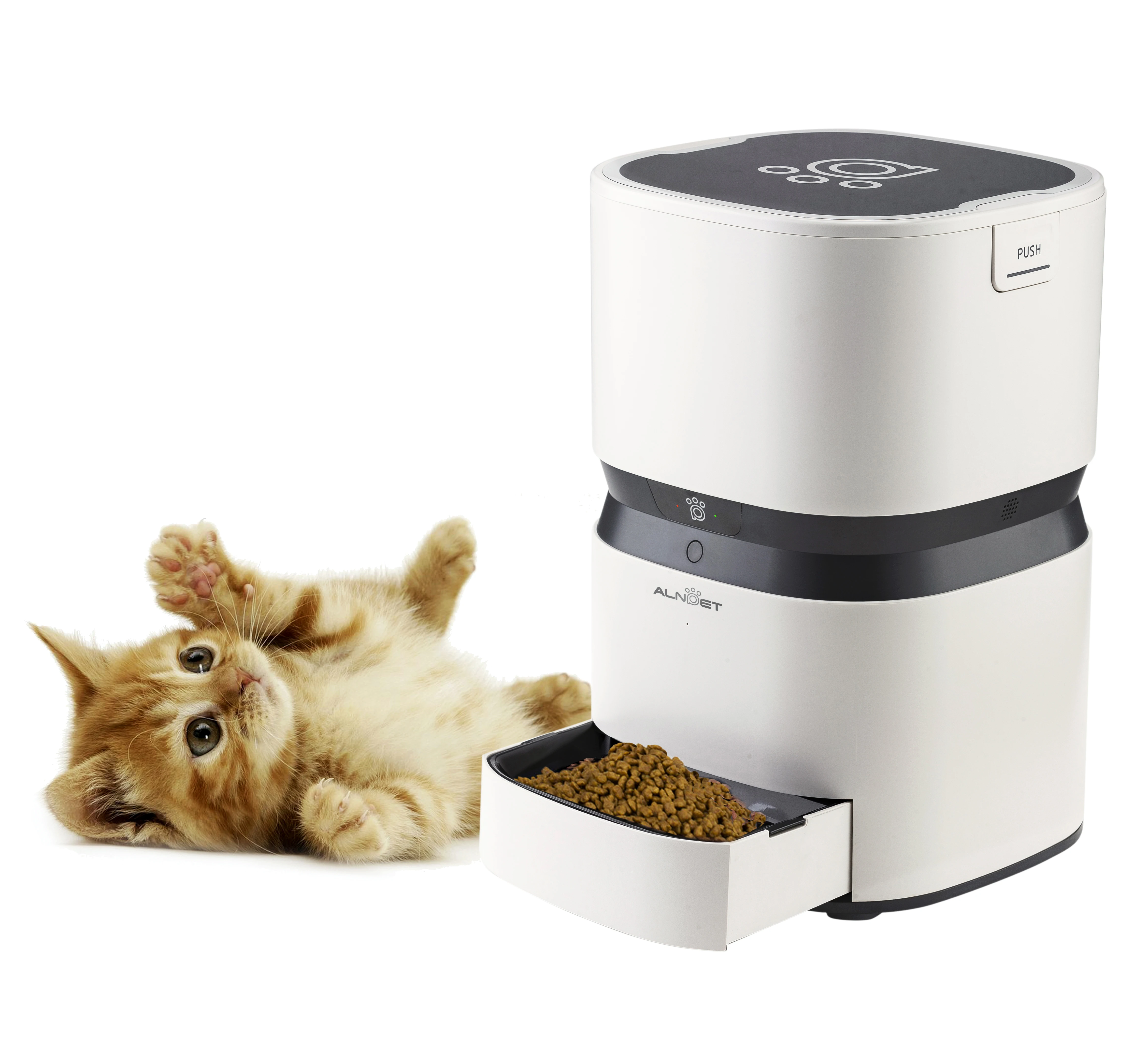 auto animal feeder