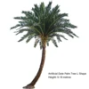 Palmera de dátiles de Oriente Medio - Forma de L