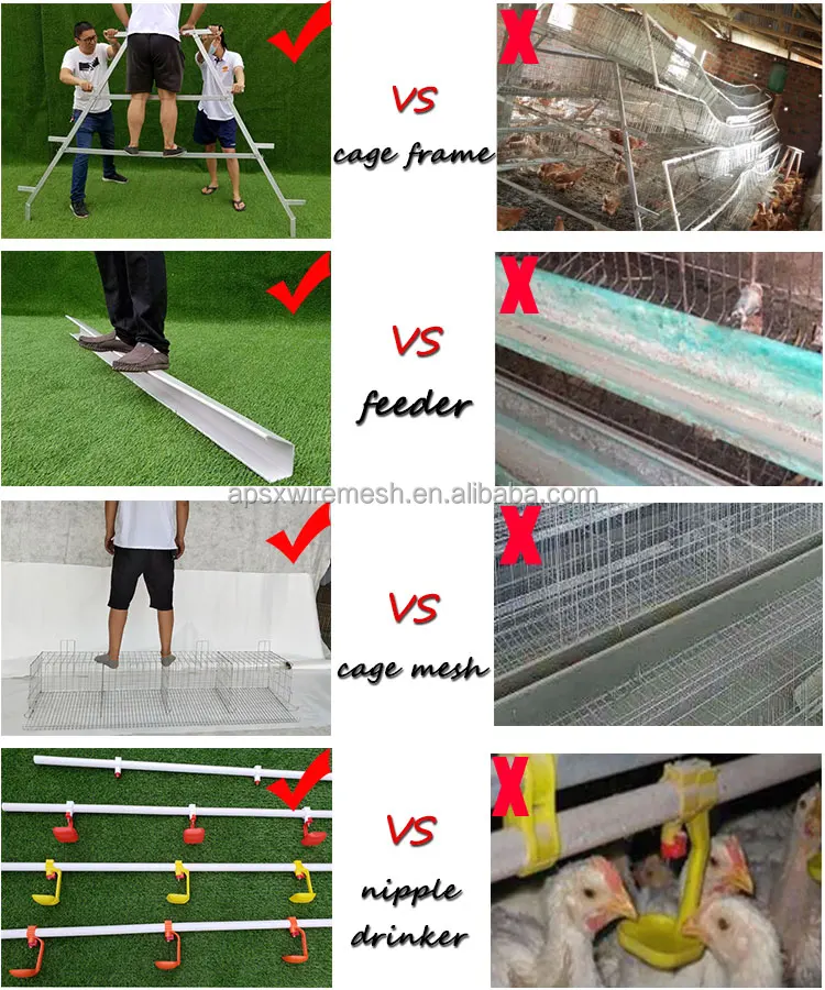 compare.jpg