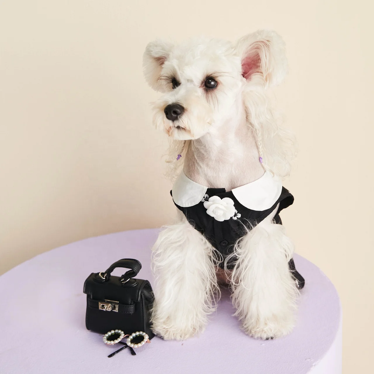 luxury dog harness, harness for dog, designer puppy , costume