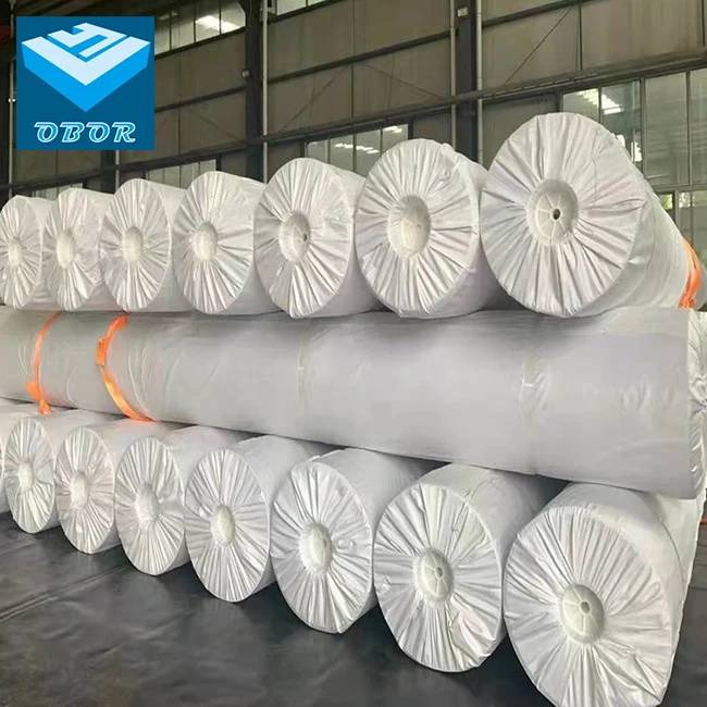 HDPE Geomembrane Pond Liner 0.1 - 5mm thickness Geomembrane Pond Liner Fish Farm Dam Liner HDPE Geomembr</div>
</div>
</div>
</div>
</div>
</div>
<div class=