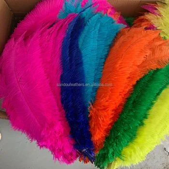 Wholesale 18-20 Inch Nandu Ostrich Feathers for Carnival Costumes Decorations