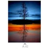 Multicolor-A02