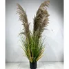 130cm 5 heads