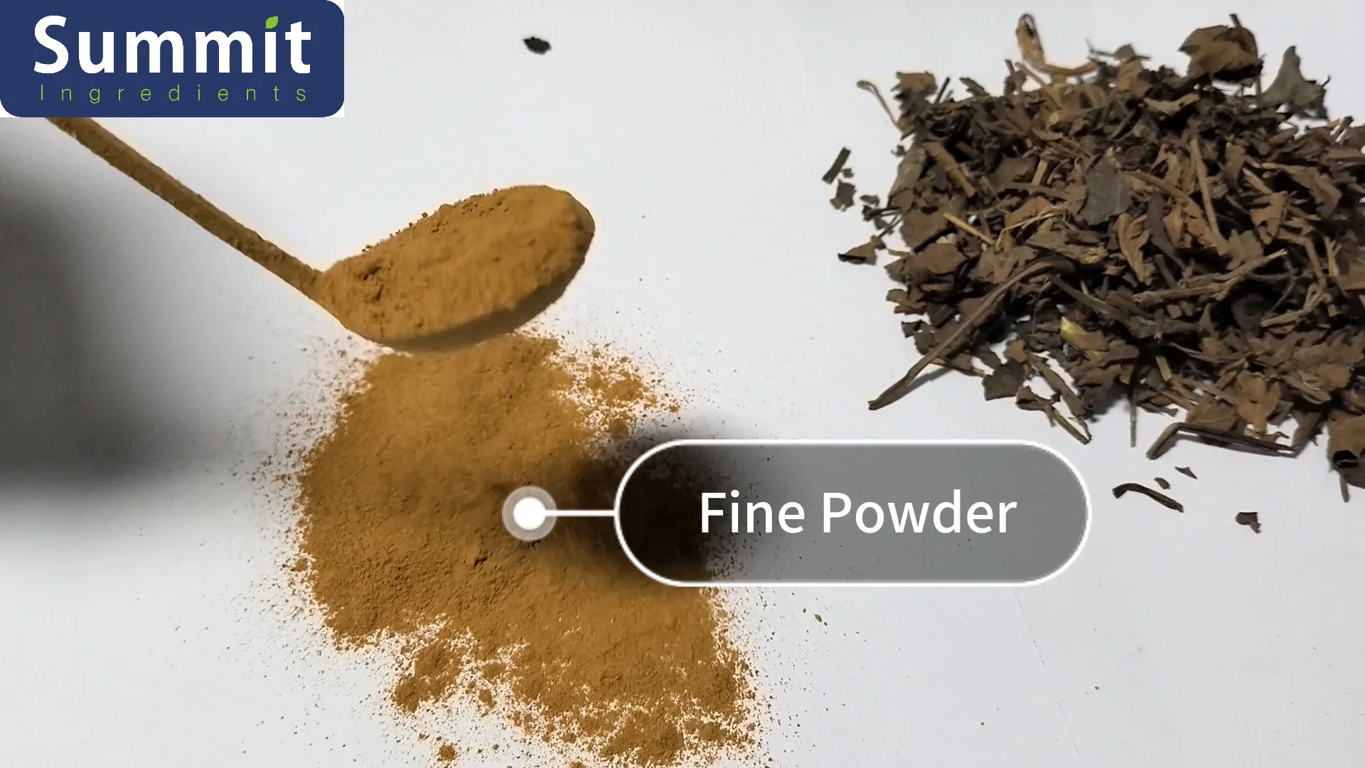 Natural Salvia Officinalis Extract / Sage Leaf Extract Powder Buy